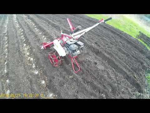 Видео: Мотоблок Weima 1050.Садим картошку.