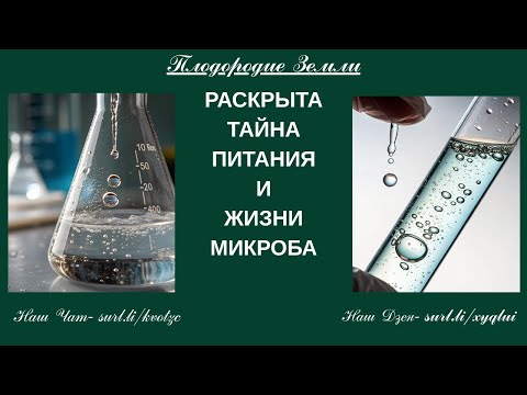 Видео: Жизнь в земле и на Земле 1 часть №841/25