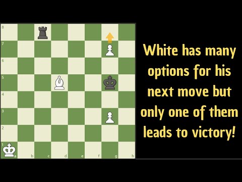 Видео: Всего несколько штук, но все равно очень сложные!