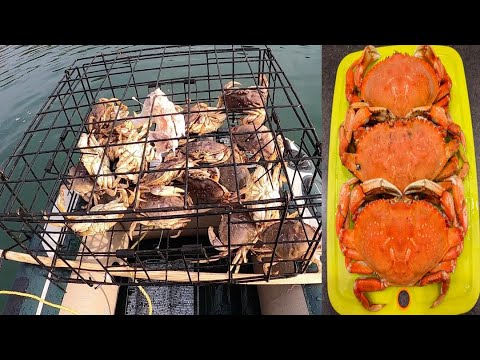 Видео: СОСКУЧИЛСЯ ПО ЭТОМУ ВКУСУ. КРАБЫ В АМЕРИКЕ.