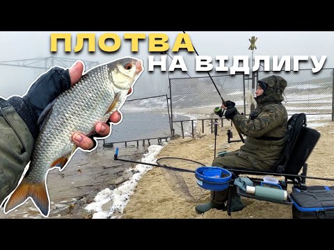 Видео: ТУТ ЗАБИЛАСЬ ВСЯ РИБА‼️КЛЮЄ НА ПАДІННІ‼️ Сезон ФІДЕРУ ВІДКРИТО🎣