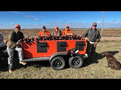 Видео: Открытие сезона охоты на фазанов в Канзасе!|2025