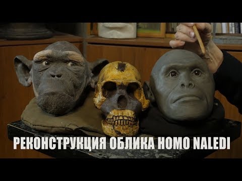 Видео: Реконструкция облика Homo naledi | Как ученые восстанавливают внешность?