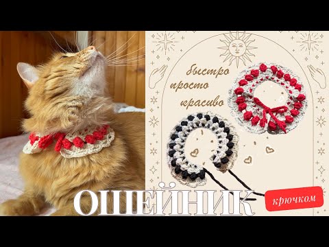 Видео: ошейник крючком МК | подходит для новичков