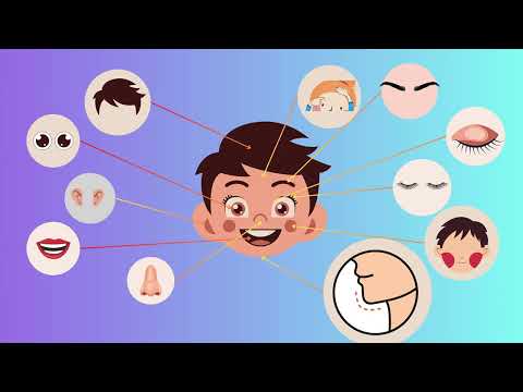 Видео: Частите на тялото.