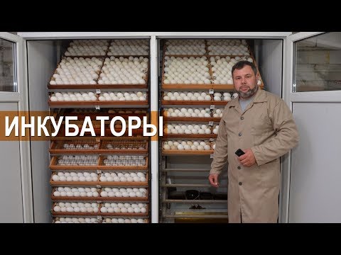 Видео: Самодельный инкубатор на 4000 яиц. Китайские фермерские инкубаторы