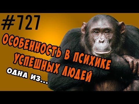 Видео: Одна из особенностей психики успешных людей. #психология