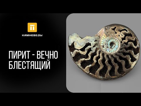 Видео: Пирит - вечно блестящий