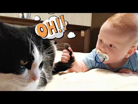 Видео: Ребенок? ПОМОГИТЕ!!!