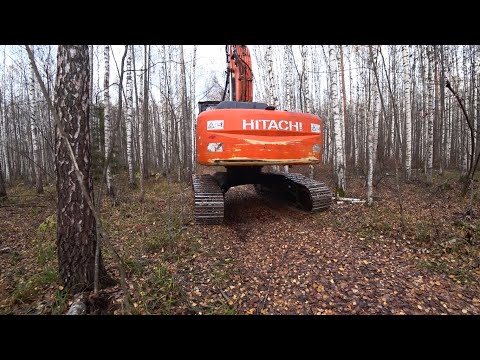 Видео: А у нас на селе красные трактора в лесу стоят! Коп металлолома в старых делянках