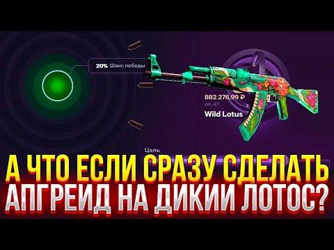 Видео: СХОДУ СДЕЛАЛ ALL IN АПГРЕЙД НА ДИКИЙ ЛОТОС НА CASEHUNT! ПРОВЕРКА ДОРОГИХ КЕЙСОВ НА КЕЙСХАНТ!