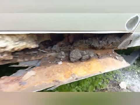 Видео: волга 31105. пороги из профтрубы!