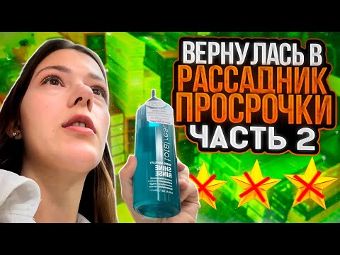Видео: «ВСЯ ПРОСРОЧКА ПРОДАЕТСЯ ПО СКИДКЕ» У ХОЗЯЙКИ НЕТ СОВЕСТИ/ САМЫЙ ОПАСНЫЙ ТРЕШ-САЛОН  ПЕТЕРБУРГА