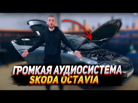 Видео: ГРОМКАЯ АУДИОСИСТЕМА в Skoda Octavia