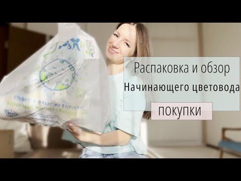 Видео: Распаковка покупок WB и Fix Price для начинающего цветовода