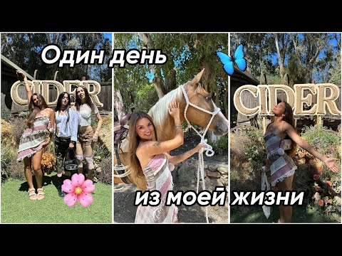 Видео: один день из моей жизни ♥
