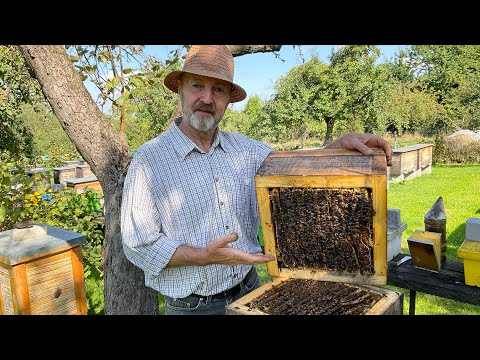 Видео: Вулик «Японський». Beekeeping (20.09.2025 р.)