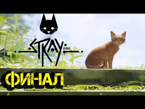 Видео: #9 НЕМНОГО ГРУСТНЫЙ ФИНАЛ ● Stray | Прохождение без комментариев | PS5