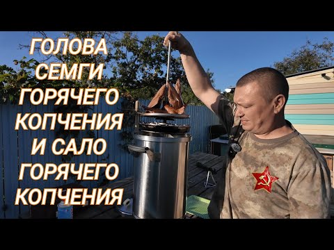 Видео: Копчёный Деликатес на даче. Голова семги и сало горячего копчения. Кайфуем с женой на даче!