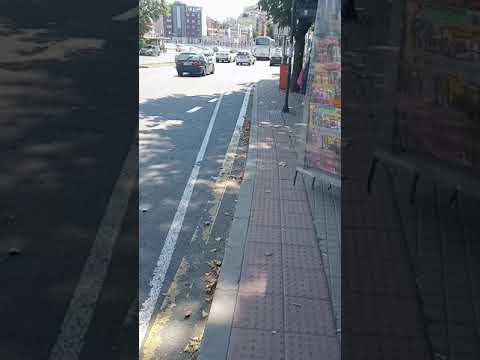 Видео: Как доехать от аэропорта Варны до Солнечного берега на автобусе