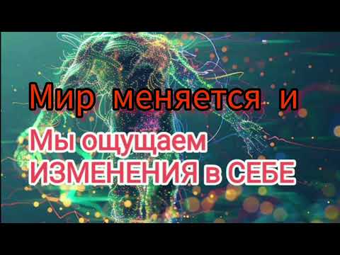 Видео: Процесс естественных проявлений