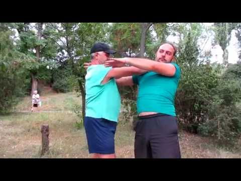 Видео: Вин Чун. Сиу Лим Тао 2 ( Стереотипы).