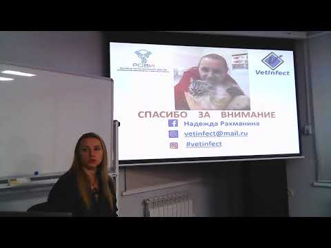 Видео: Респираторные инфекции кошек. Мероприятие организовано при поддержке компании Globalvet