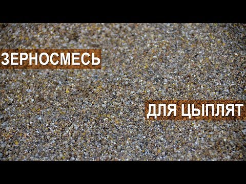 Видео: Рацион для цыплят. Состав самодельного корма. Рекомендации Сергея Матрипула