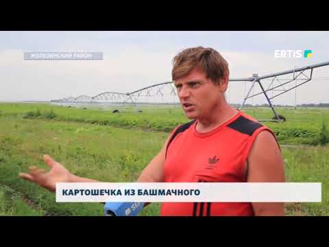 Видео: Картошечка из Башмачного