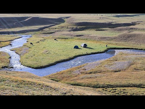 Видео: Лучшая рыбалка на речке Шалкудысу
