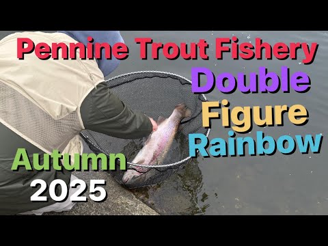 Видео: Ловля форели в Пеннинах 2025 — поймайте радугу, умноженную на двузначное число!