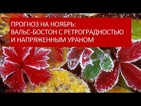 Видео: Астрологический прогноз на ноябрь