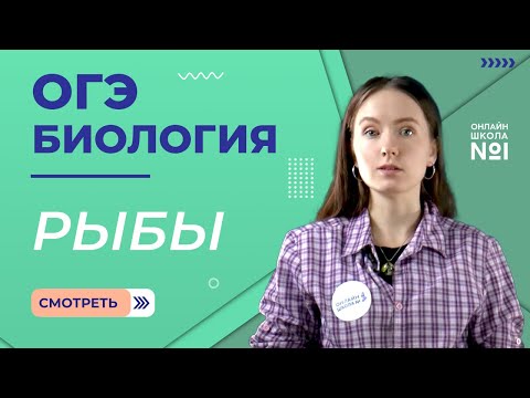 Видео: Рыбы, их значение в природе и жизни человека, рыбоводство. Биология ОГЭ