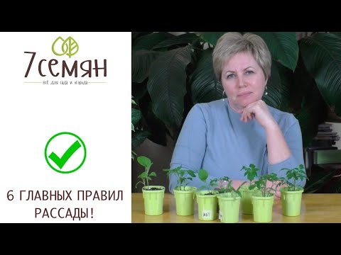 Видео: ОСНОВНЫЕ ПРАВИЛА ВЫРАЩИВАНИЯ РАССАДЫ!