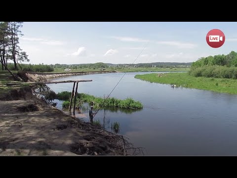 Видео: Самые красивые места на реках Слонимщины