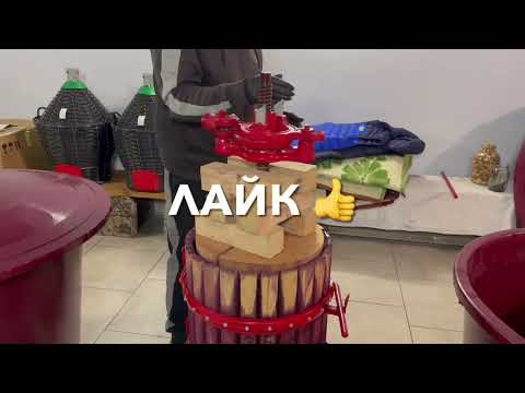 Видео: РОБИМО ВИНО. ЧАСТИНА ДРУГА.