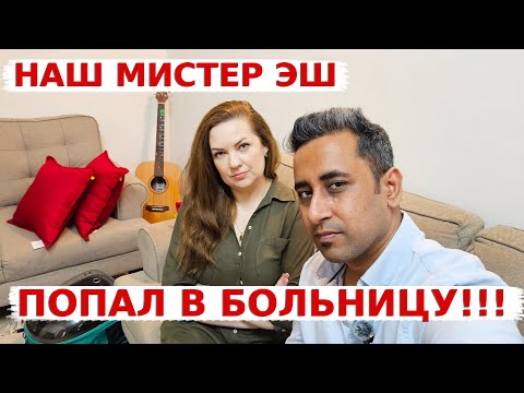 Видео: Нам пришлось везти кота в больницу! Насколько дорого сходить в ветклинику в Индии?