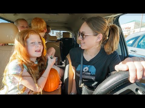 Видео: впереди захватывающие выходные... 😍