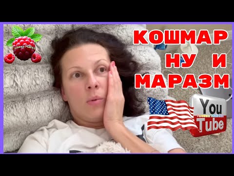 Видео: Big Big Family in the USA /Кошмар /Ну и маразм /Обзор /Funny 4 /Биг Биг Фэмэли /Лиса в Америке 
