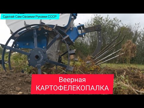 Видео: ◀️Копка картофеля веерной картофелекопалкой.