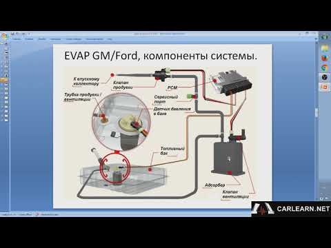 Видео: EVAP система GM/Ford, устройство, особенности, диагностика.