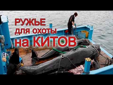 Видео: Ружье для охоты на китов! Гидропневматическое ружье для подводной охоты.