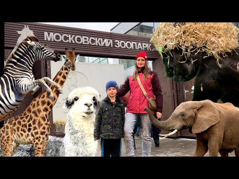 Видео: Московский Зоопарк