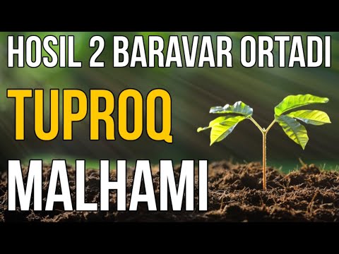 Видео: Бой бўлишнинг Органик йўллари