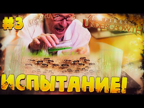 Видео: Прохождение Empires of the Undergrowth \ ИСПЫТАНИЕ! \ #3