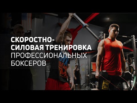 Видео: Cкоростно-силовая тренировка профессиональных боксеров в период кэмпа