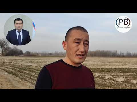 Видео: ПРЕЗИДЕНТ СИЁСАТИНИ ТУШУНМАЙДИГАН ТЎРАҚЎРҒОН ҲОКИМИ  ЗЎРАВОНЛИК БИЛАН ФЕРМЕРНИ ЕРИНИ ТОРТИБ ОЛДИ