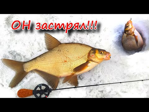 Видео: ЧЁРТИК и КОЗА ловят КРУПНЯК !!! Безмотылки в работе !!!