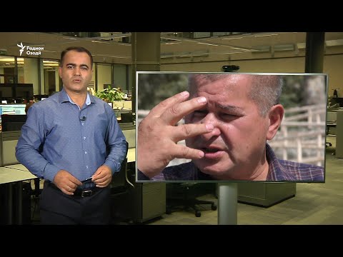 Видео: Зойировро сагаш афтонд, ё ӯро заданд?