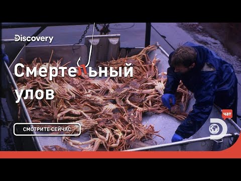 Видео: Опасность рядом | Смертельный улов | Discovery